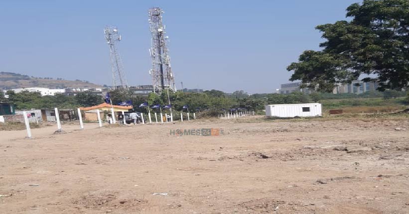 Blanca Crown Cover Image 